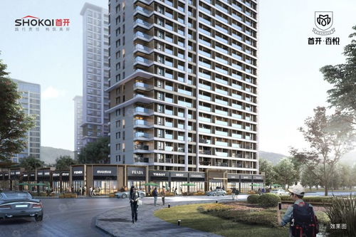 首開(kāi)香悅圖片 樣板間 裝修效果圖