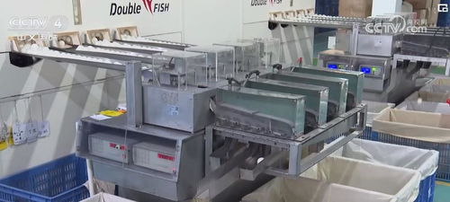 巴黎奧運熱銷帶動中國制造 燃氣家用器具出口迎賽事經濟新機遇